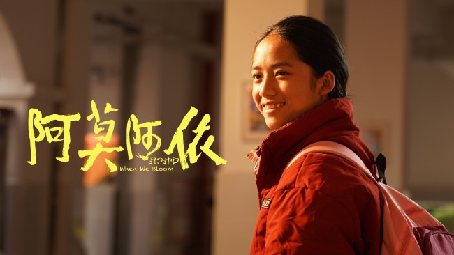 电影《阿莫阿依》终极物料双发 阿依姐弟求学人生大曝光